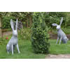 Seated Hares