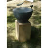 Bird Bath