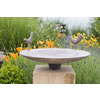 Birdbath