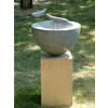 Bird Bath