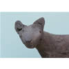 Cat (detail)