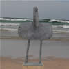 Sea Bird