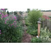 Bird Table