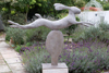 Leaping Hare