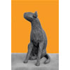 Seated Cat