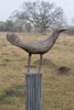 Small Bird