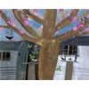 sheds, cherrytree and bird tables