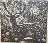Actaeon