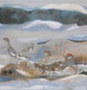 Ptarmigan