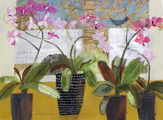 orchid window sill