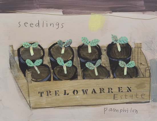 seedlings